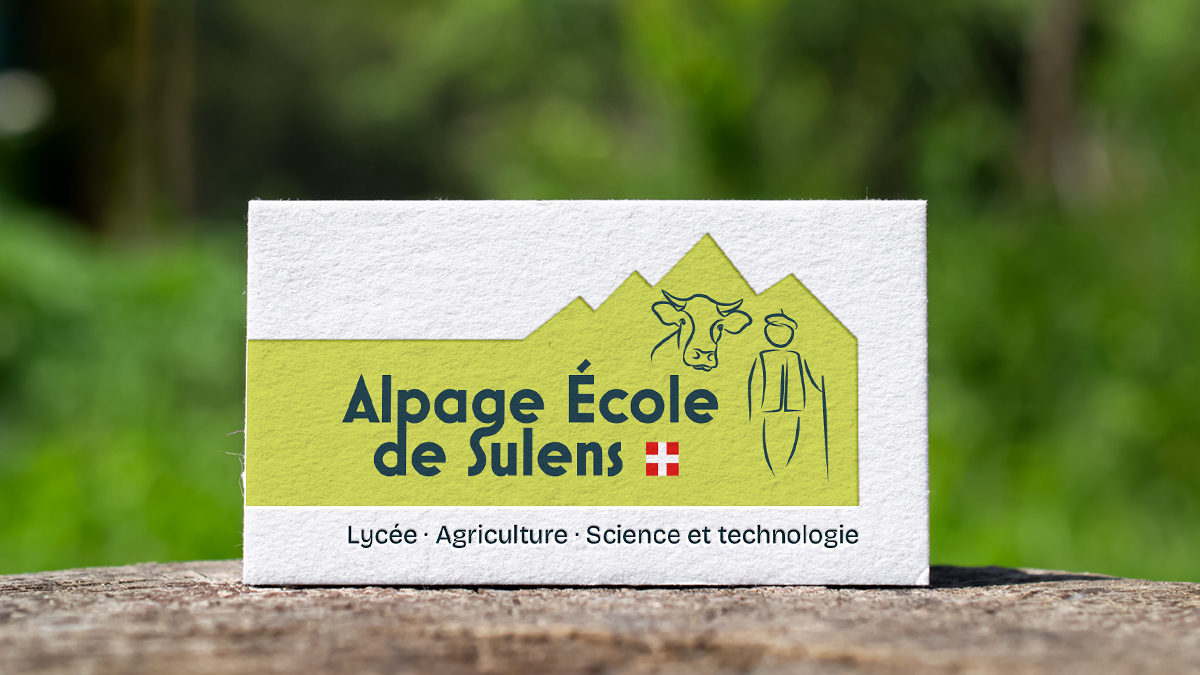 Abaca - Alpage-Ecole - Identité Graphique - carte de visite