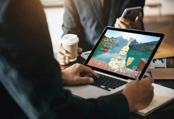 Fiche technique pour le limoncello verveine des Alpes pour dolin